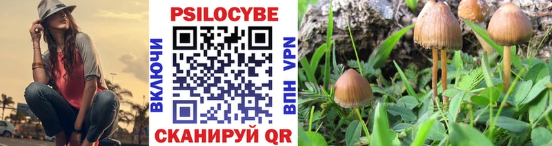 Псилоцибиновые грибы мухоморы  Купить  Соликамск 